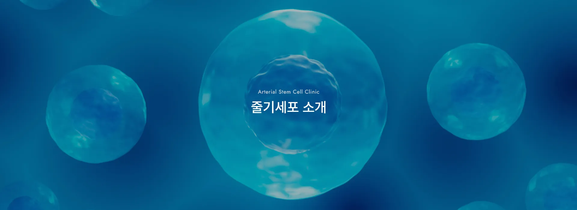 Arterial Stem Cell Clinic · 줄기세포 소개