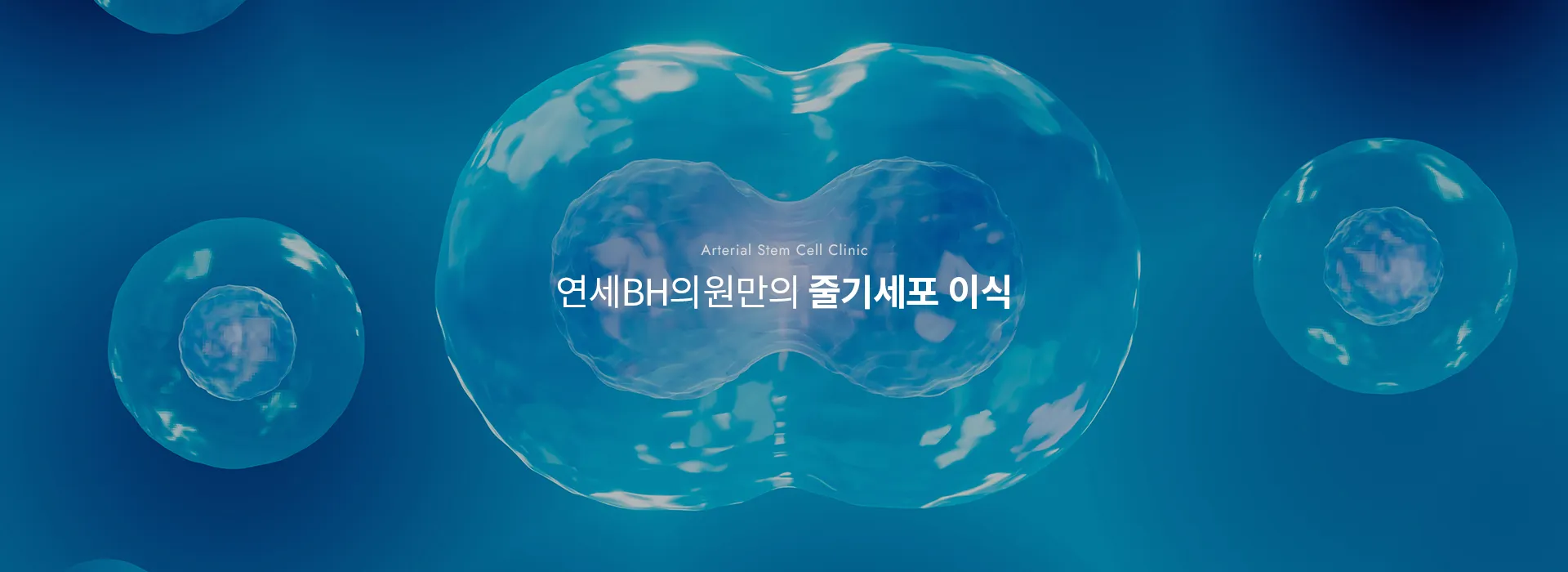 Arterial Stem Cell Clinic · 연세BH의원만의 줄기세포 이식