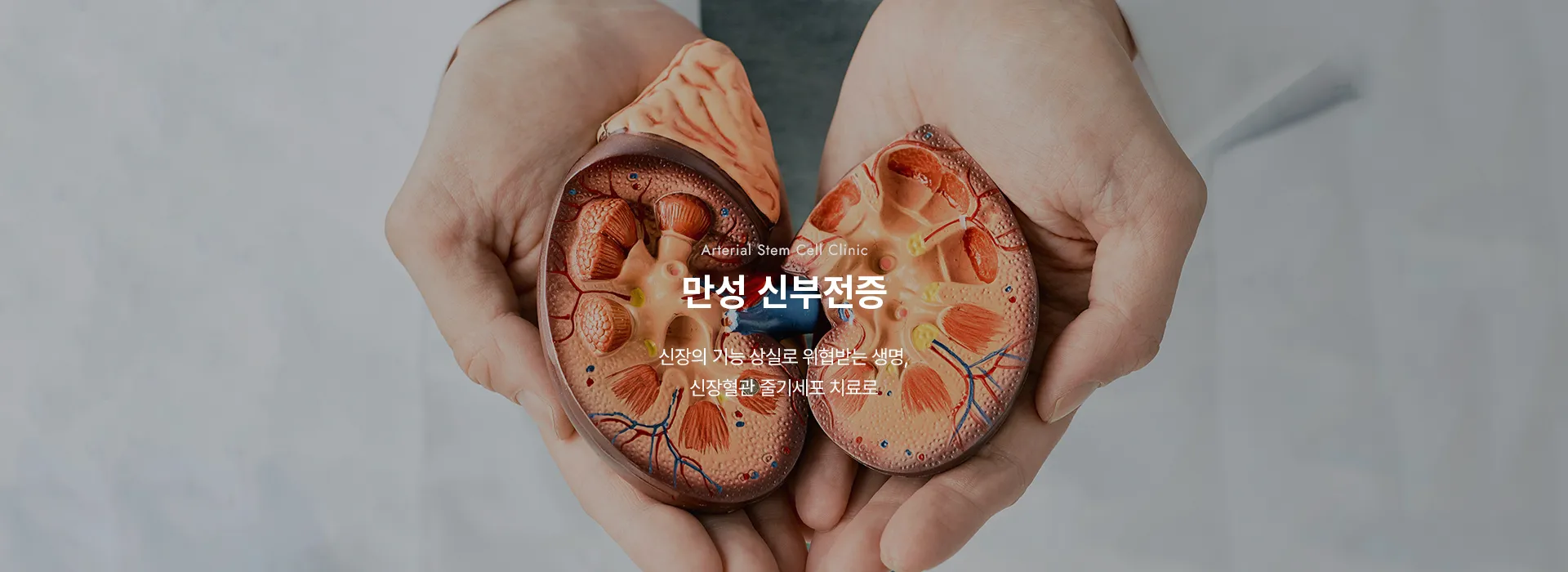 Arterial Stem Cell Clinic · 만성 신부전증 · 신장의 기능 상실로 위협받는 생명, 신장혈관 줄기세포 치료로.