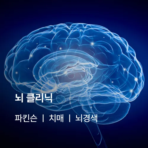 뇌 클리닉: 파킨슨, 치매, 뇌경색