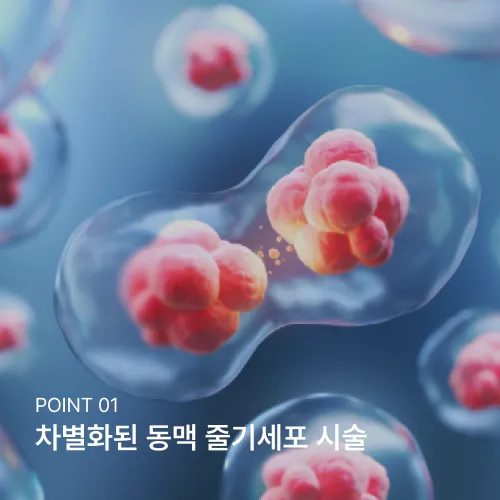 POINT 01 차별화된 동맥 줄기세포 시술